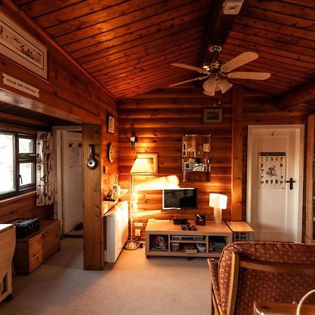 Rustic Log Cabin In Snowdonia By Seren Short Stays Trawsfynydd Kültér fotó