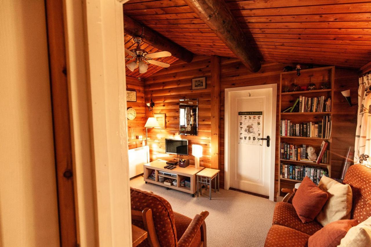 Rustic Log Cabin In Snowdonia By Seren Short Stays Trawsfynydd Kültér fotó